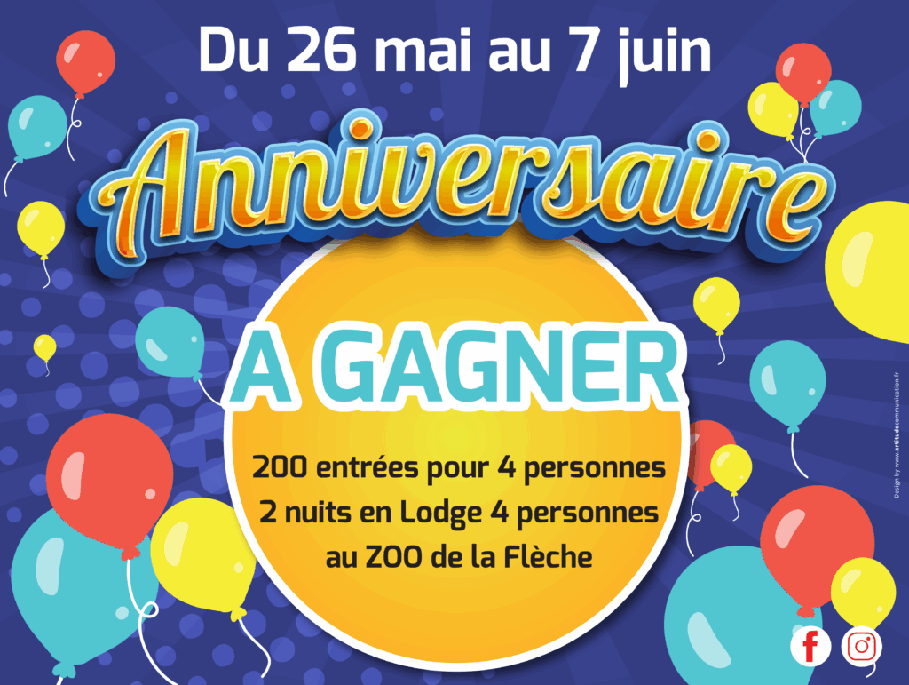 Affiche évènement anniversaire Centre Commercial Les Fontenelles